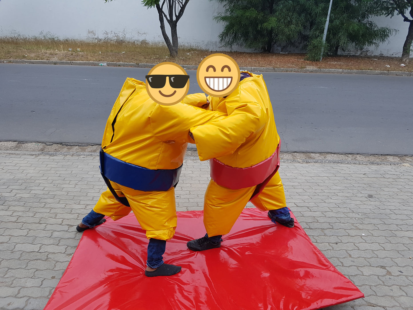 Sumo Suits