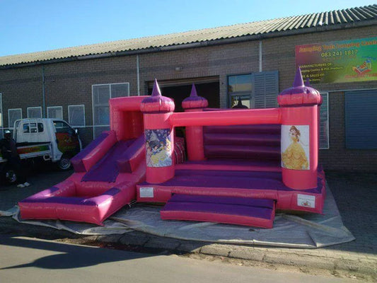 Princess Gym with Slide & Pond