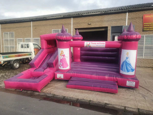 Princess Gym with Slide & Pond